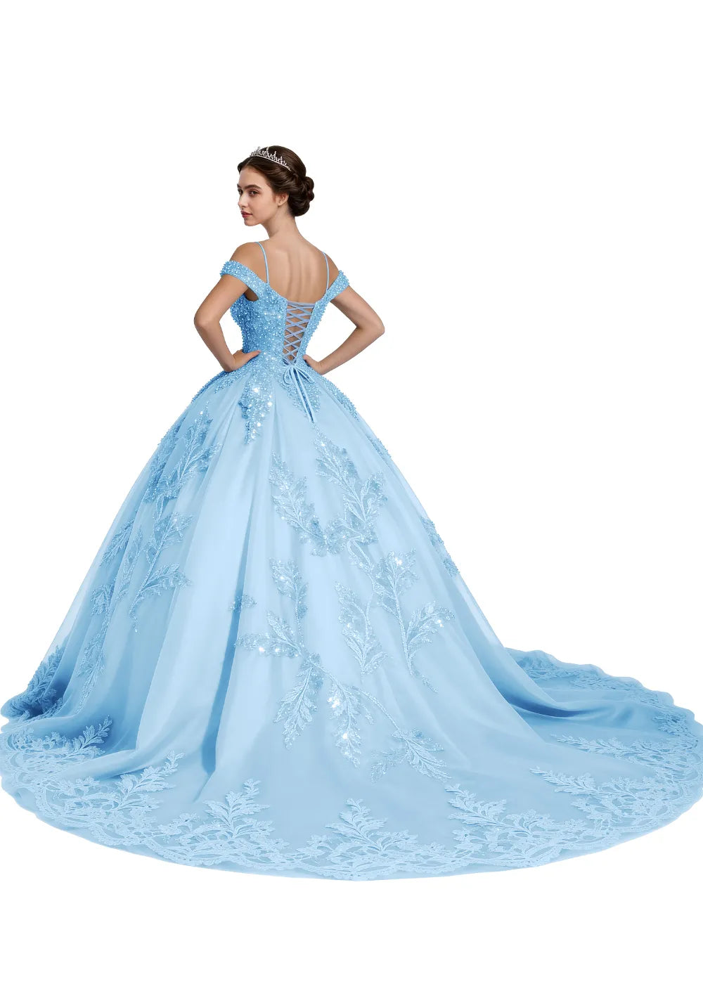 Enchanted Elegance Princess Gown