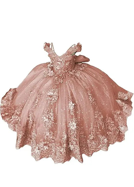 Aurora Garden Lace-Up Floral Princess Dress
