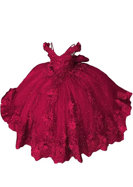Aurora Garden Lace-Up Floral Princess Dress