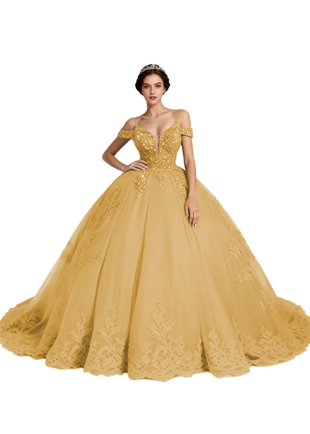 Enchanted Elegance Princess Gown