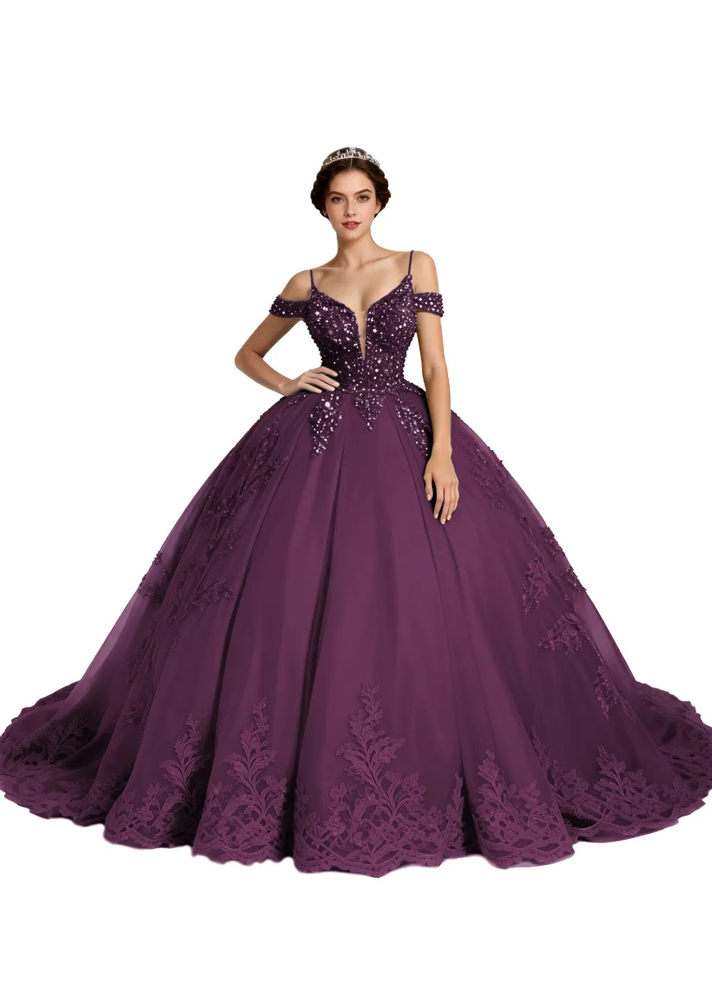 Enchanted Elegance Princess Gown